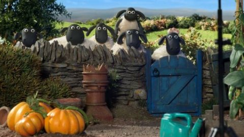 Pakapaka estrena nuevos capítulos de Shaun, el cordero y Pichintún