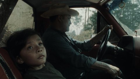  “Lluvia”, la nueva campaña de Grey México para Save the Children 