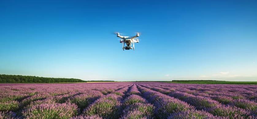 Infobae Talks Campo: qué posibilidades tienen los agronegocios para ser más eficientes y sostenibles