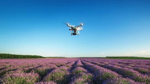 Infobae Talks Campo: qué posibilidades tienen los agronegocios para ser más eficientes y sostenibles