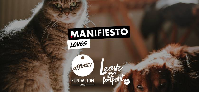Manifiesto gana las cuentas de Fundación Affinity y de Talent Brand