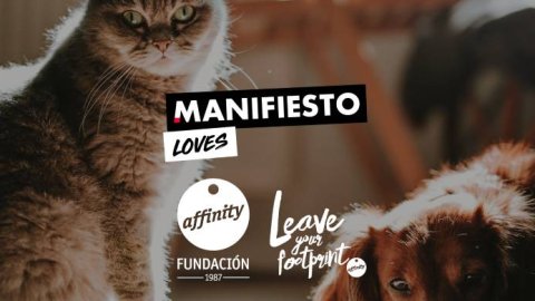 Manifiesto gana las cuentas de Fundación Affinity y de Talent Brand