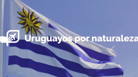 Wild Fi presenta su campaña para Aeropuertos Uruguay: “Uruguayos por Naturaleza”