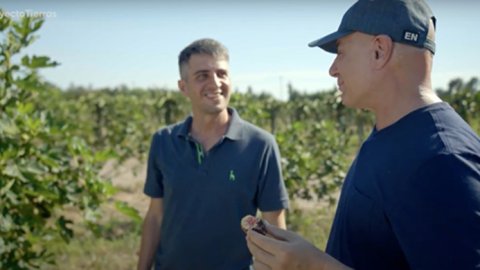 Telefe: “Tierras”, el Branded Content de ICBC con producción de Don