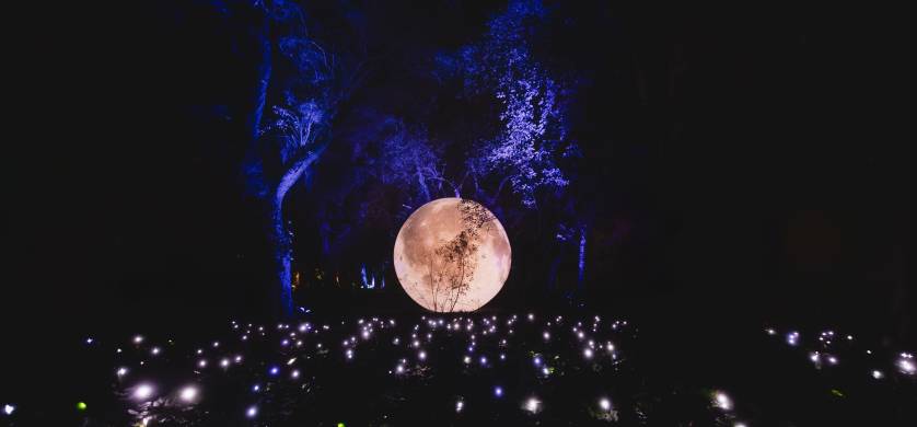 Secret Garden abre sus puertas