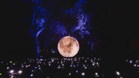 Secret Garden abre sus puertas