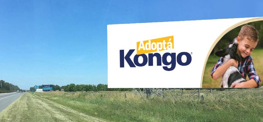 “Adoptá Kongo”, se renueva la campaña que le brinda alimento a cientos de refugios para perros y gatos