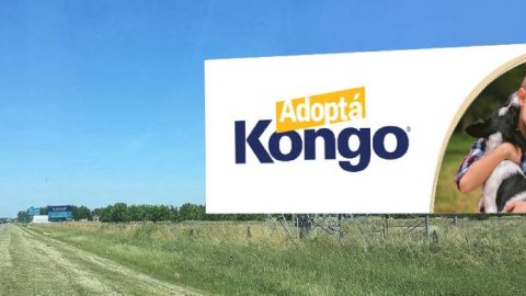 “Adoptá Kongo”, se renueva la campaña que le brinda alimento a cientos de refugios para perros y gatos