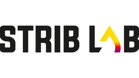STRIB LAB, la nueva agencia de AMCNI-LA, abre sus puertas a toda la región