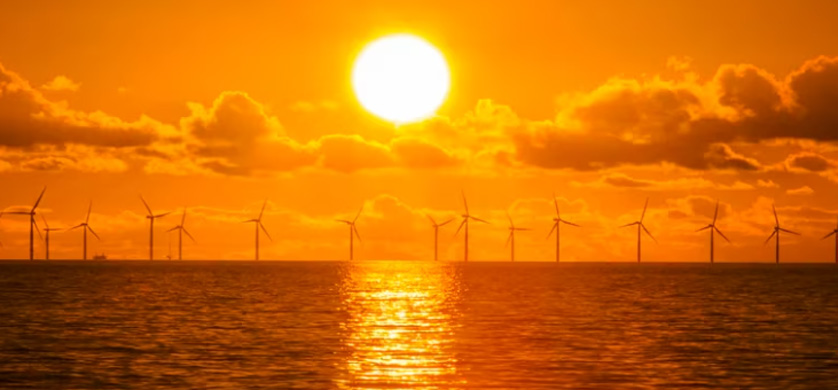 “Infobae Talks Energía”: la transición de las empresas hacia la sustentabilidad