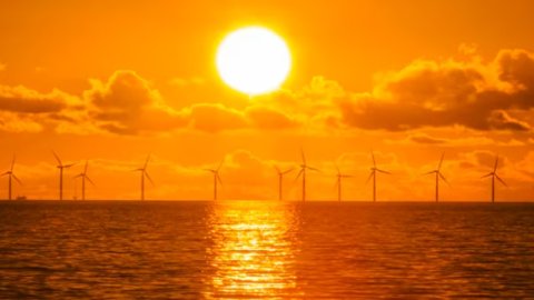 “Infobae Talks Energía”: la transición de las empresas hacia la sustentabilidad
