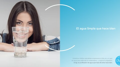Sustentabilidad: alianza creativa entre Gyps y DVIGI