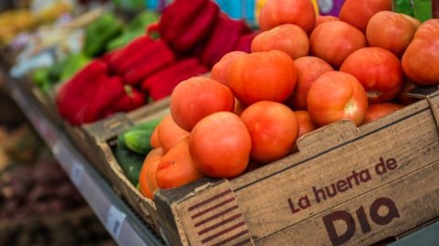 Dia reduce un 15% el desperdicio alimentario en su operación global