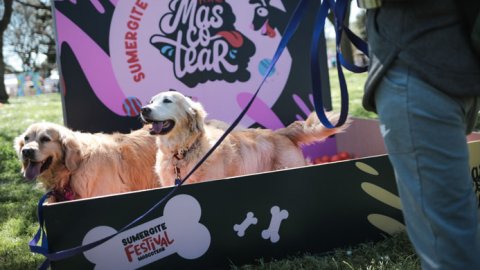 “Mascotear”, el primer festival dedicado exclusivamente a las mascotas, cerró su primera edición
