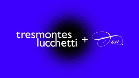 Tresmontes Lucchetti eligió a Don para el desarrollo de su portfolio de innovación en Chile
