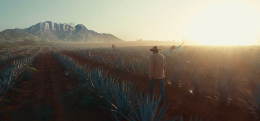 “Infusionar eleva la esencia”, lo nuevo Grey Argentina para Tequila Olmeca Altos