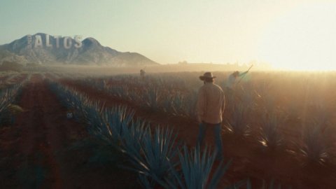 “Infusionar eleva la esencia”, lo nuevo Grey Argentina para Tequila Olmeca Altos