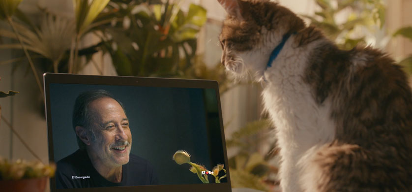 Movistar junto a VMLY&R y Wunderman Thompson Argentina presentan “Ivom”
