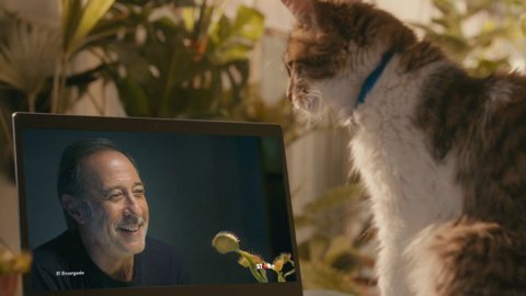 Movistar junto a VMLY&R y Wunderman Thompson Argentina presentan “Ivom”
