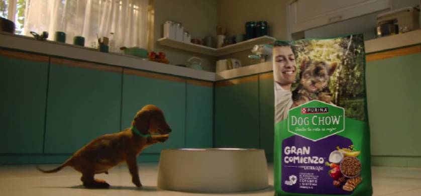 Nueva campaña de Purina Dog Chow Latam & Us Hispanic