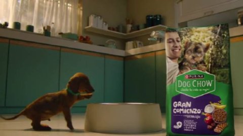 Nueva campaña de Purina Dog Chow Latam & Us Hispanic