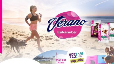 Vacaciones 'pet friendly': Eukanuba te invita a pasar un verano inolvidable junto a tu perro
