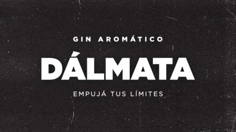 VEO Branding Company renueva la identidad visual de Dalmata Gin