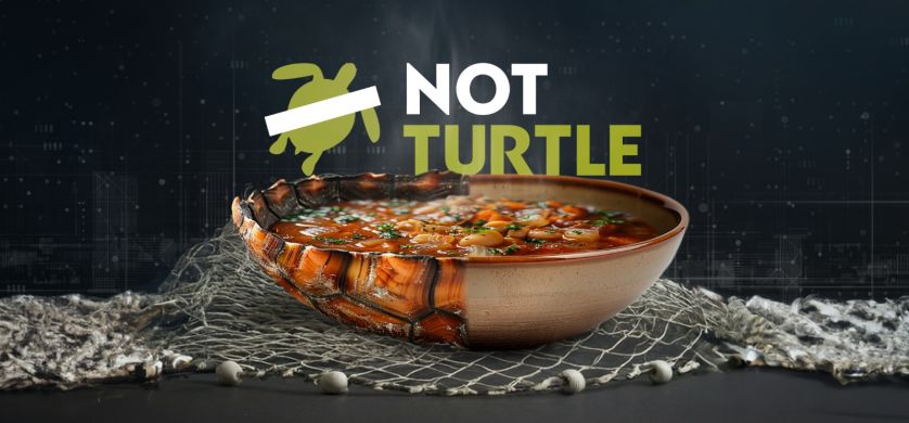 NotCo presenta NotTurtle: una solución innovadora para preservar la tortuga verde marina