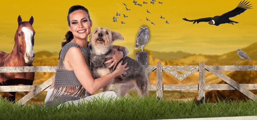 "Mika, rescatista de animales", el primer stream dedicado al mundo animal