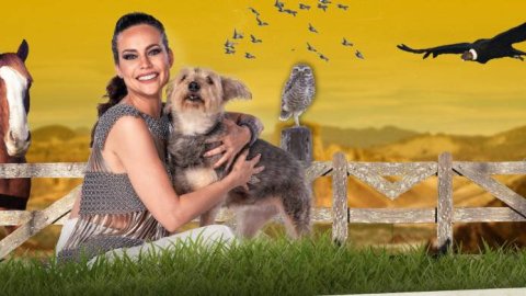 "Mika, rescatista de animales", el primer stream dedicado al mundo animal