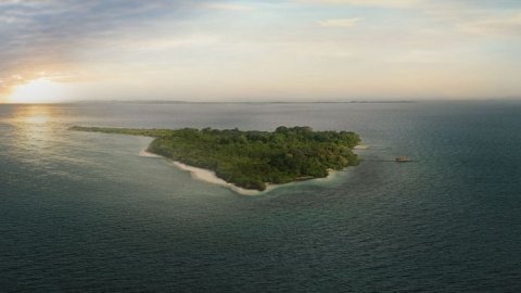 Cerveza Corona presenta Natural Codes: escaneá plantas, obtené descuentos y viajá a la Isla Corona