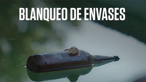 “Blanqueo”, lo nuevo de La América para Cerveza Quilmes