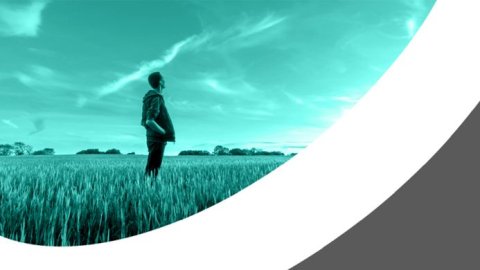 Furlong Fox anuncia su nuevo propósito compartido e identidad de marca