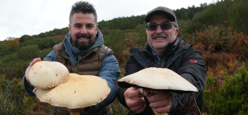 Una aventura gastronómica en el bosque te espera en elGourmet