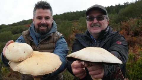 Una aventura gastronómica en el bosque te espera en elGourmet