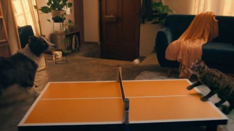 The Juju y Betsson presentan la campaña "Apostamos que te divertirás"