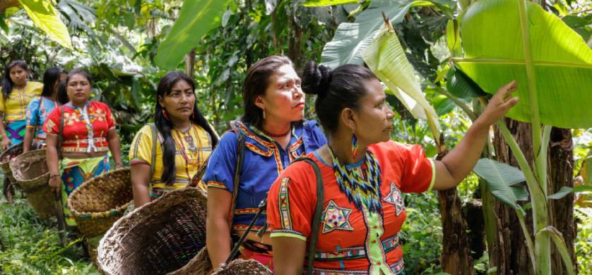 26 PLANETA presente en la 7a edición del Festival Internacional de Cine Ambiental