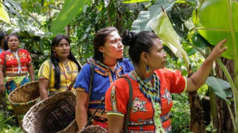 26 PLANETA presente en la 7a edición del Festival Internacional de Cine Ambiental