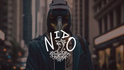 Nace NIDO, Content House del grupo Super