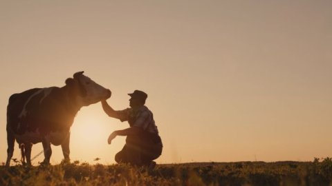 Nestlé participará de una nueva edición de Expo Rural