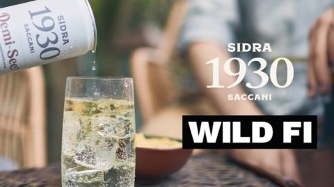 Sidra 1930 eligió a Wild Fi como partner estratégico y creativo digital