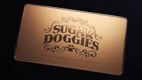 “Sugar Doggies": El proyecto de Potro Lima que redefine la adopción de perros adultos
