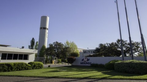 Molinos Río de la Plata acuerda la compra de Sibarita 