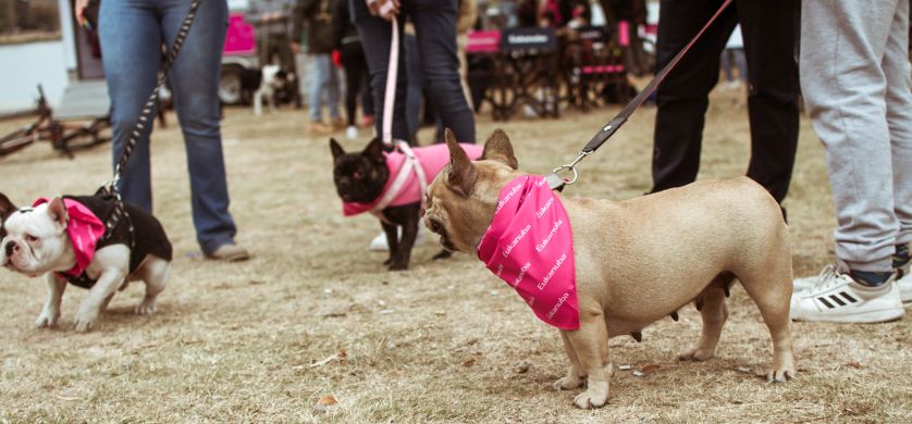 Eukanuba desembarca nuevamente en el interior del país con el ACTIVE TOUR