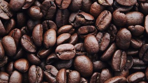 En el Día Internacional del Café: Nestlé presenta sus innovaciones e impulsa el desarrollo de la categoría