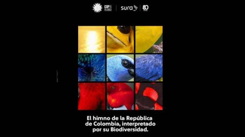 McCann Worldgroup Colombia junto a Sura producen una versión singular del himno colombiano