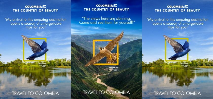 DDB lanza campaña para visitar Colombia de la mano de los animales