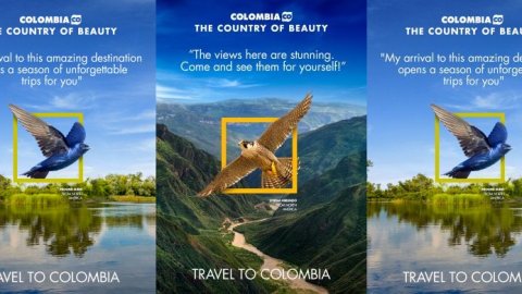 DDB lanza campaña para visitar Colombia de la mano de los animales