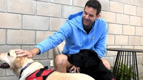 Torito y Pinky, los perros de asistencia que acompañaron a Del Potro en su "Último Desafío"