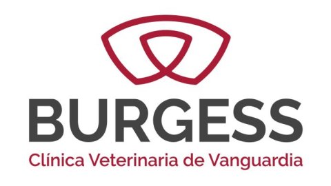 Burgess clínica veterinaria de vanguardia se renueva